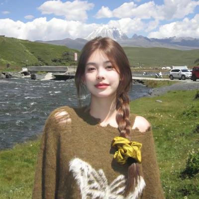 辣手神探勇闯天罗地网