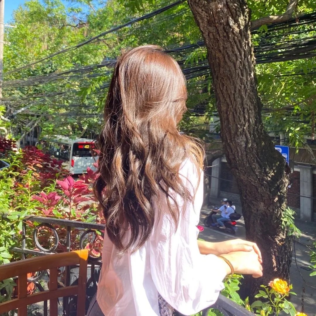 小蜜蜂 勇气的旋律